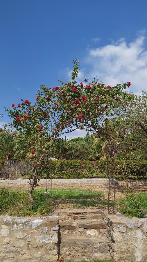 Jenny'S Garden Διαμέρισμα Βουρβουρού Εξωτερικό φωτογραφία