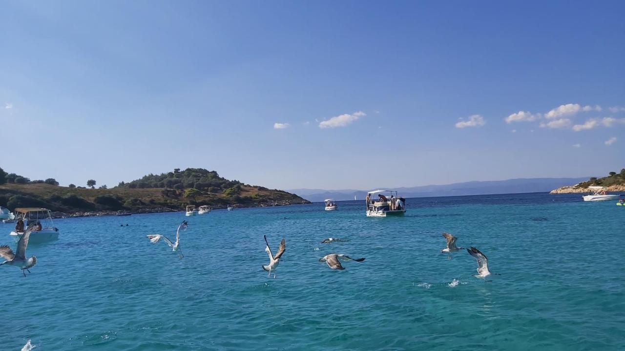 Jenny'S Garden Διαμέρισμα Βουρβουρού Εξωτερικό φωτογραφία