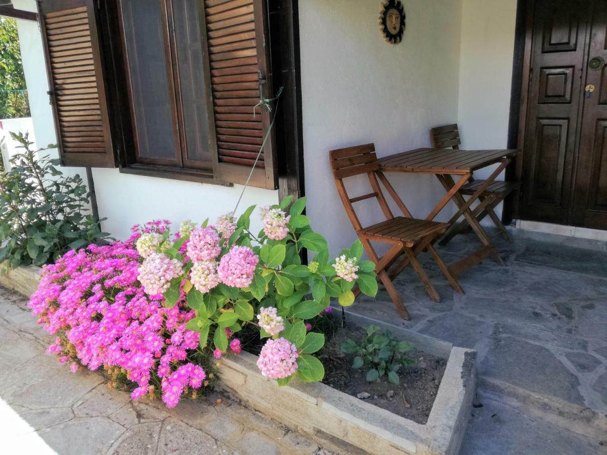 Jenny'S Garden Διαμέρισμα Βουρβουρού Εξωτερικό φωτογραφία